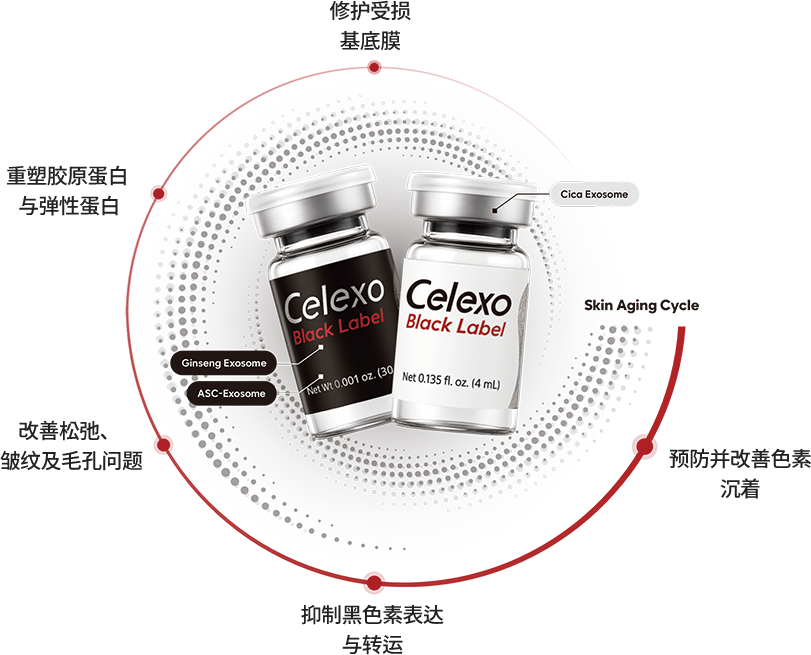 两款Celexo Black Label安瓶，标示外泌体成分（人参、ASC、积雪草）及展示其5大护肤功效的循环图。